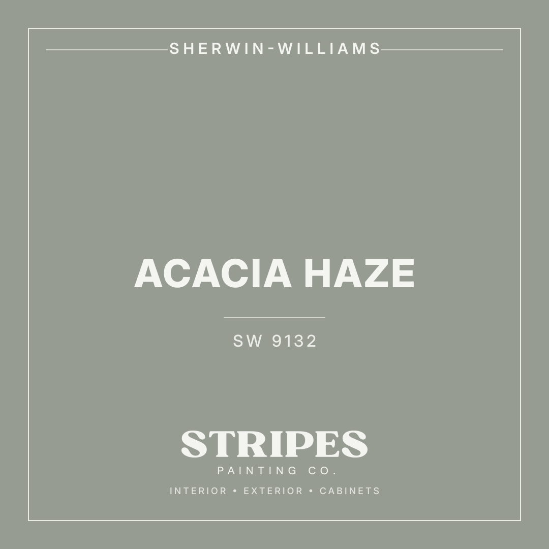 Acacia Haze paint swatch