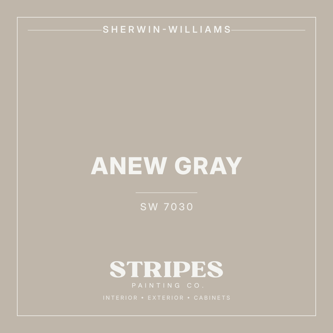 Anew Gray paint swatch