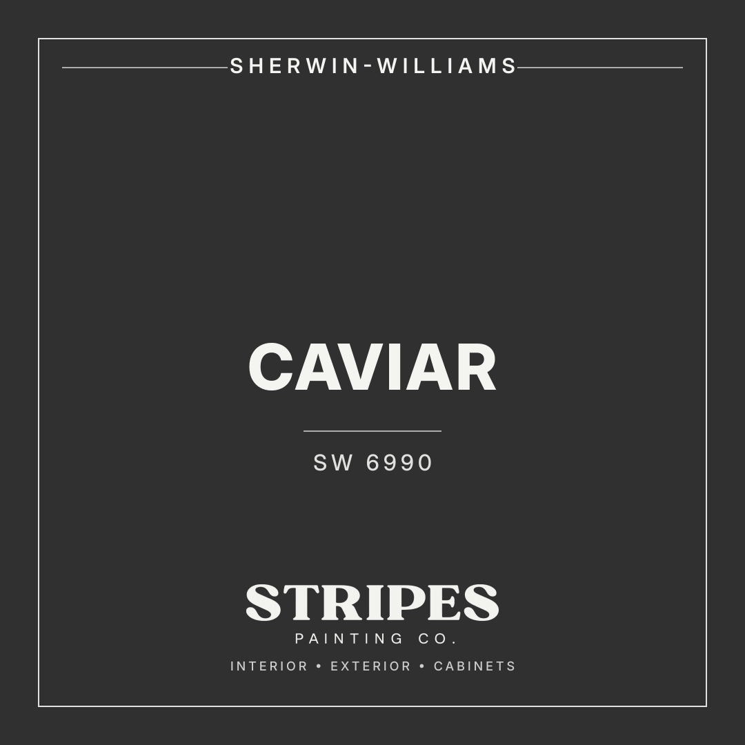 Caviar paint swatch