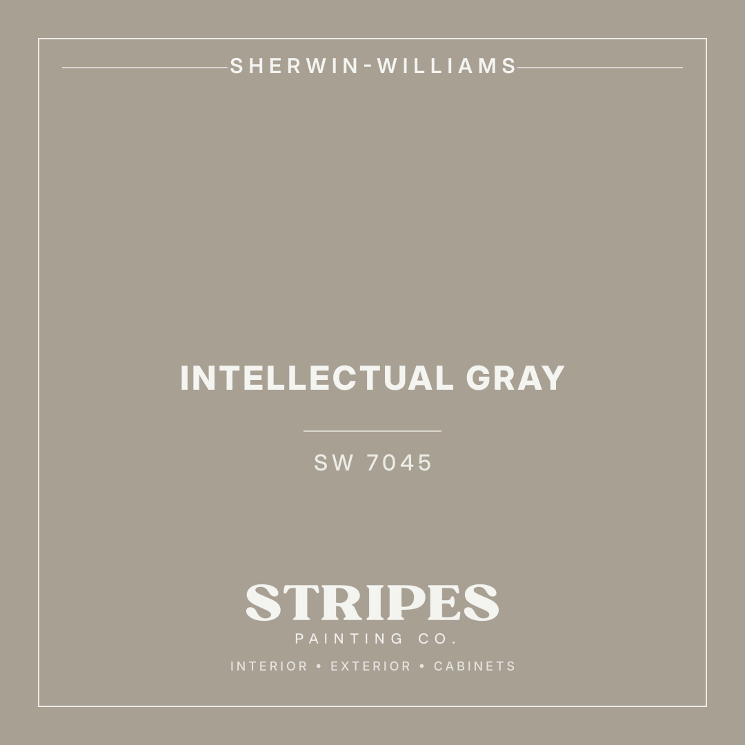 Intellectual Gray paint swatch