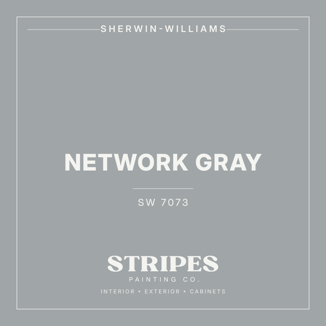 Network Gray paint swatch