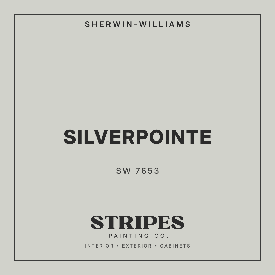 Silverpointe paint swatch