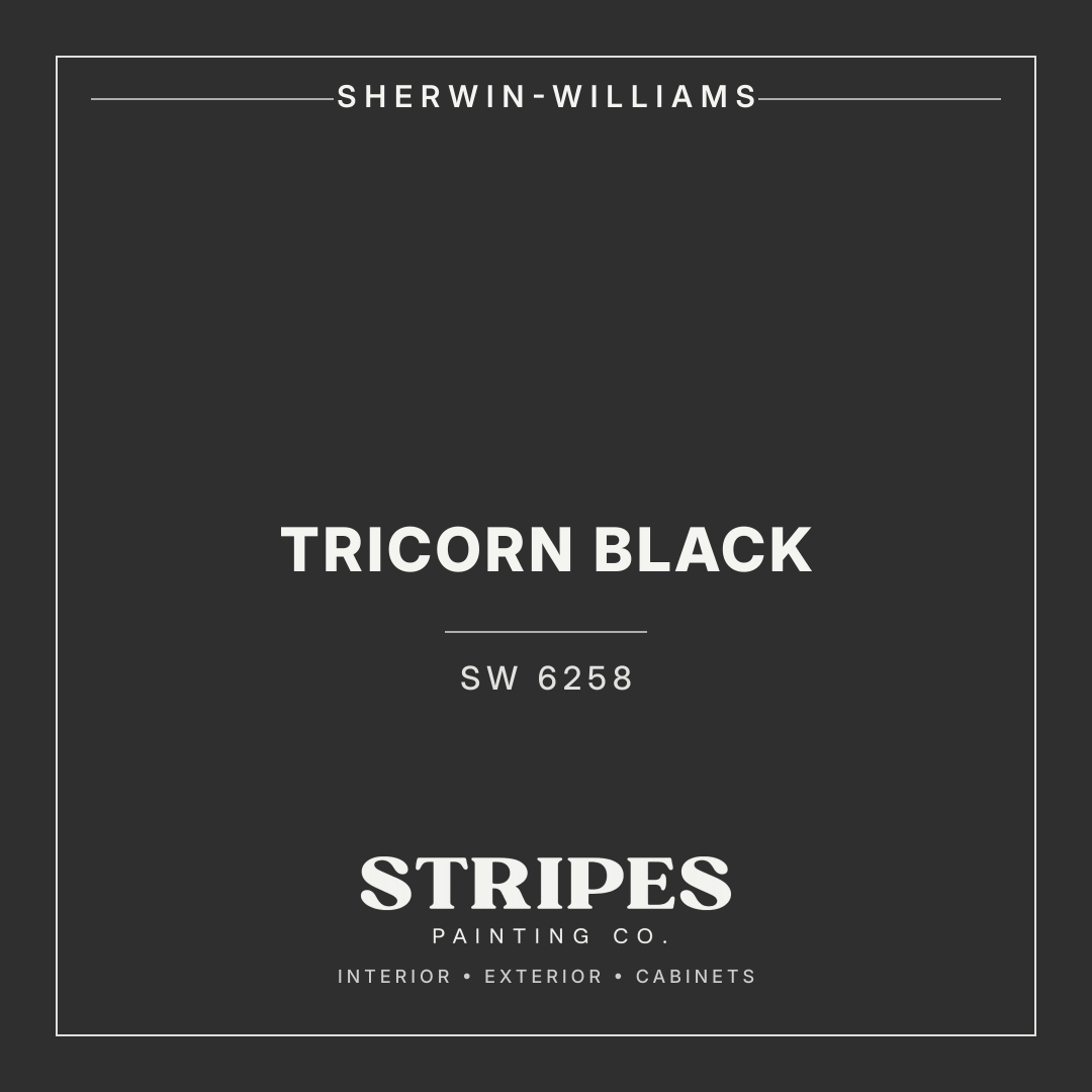 Tricorn Black paint swatch