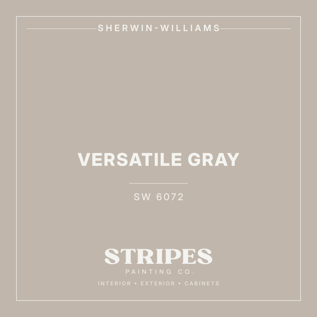 Versatile Gray paint swatch