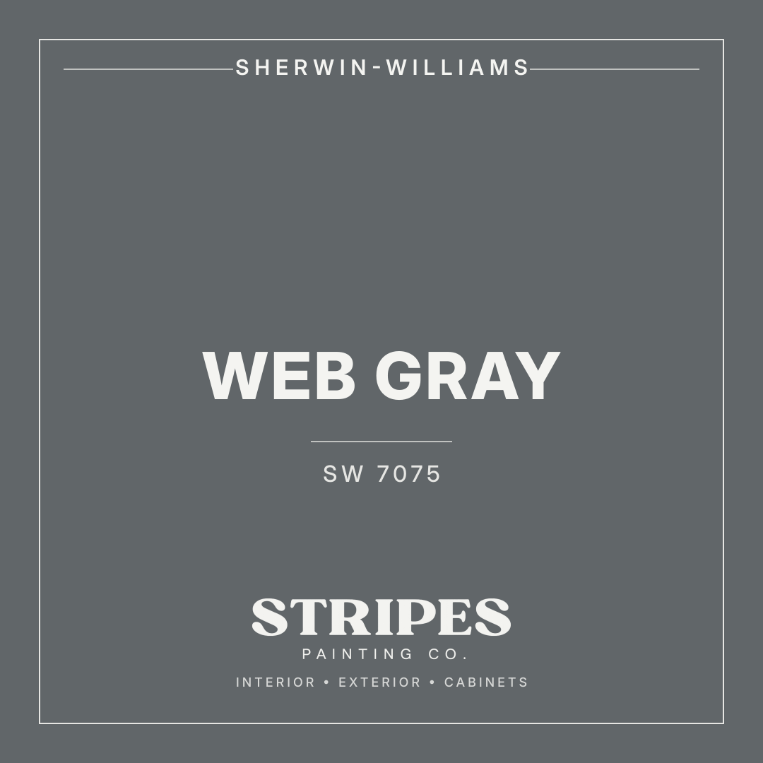 Web Gray paint swatch
