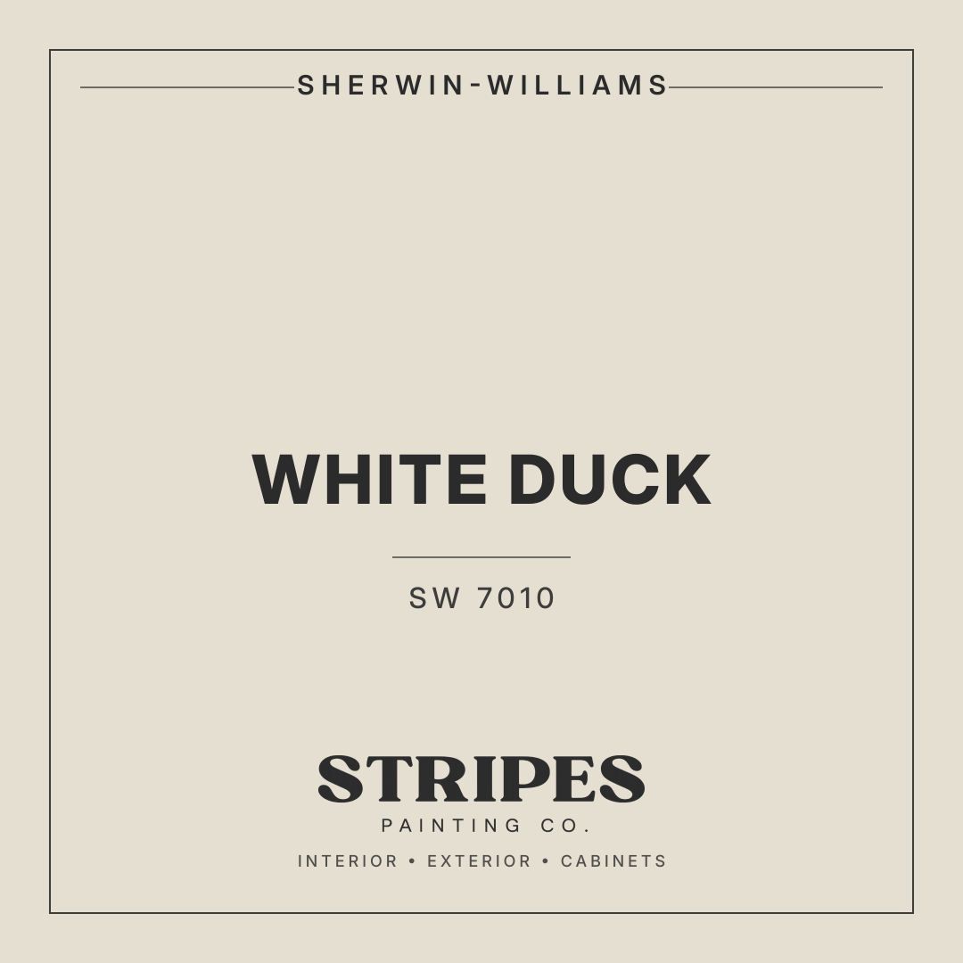 White Duck paint swatch